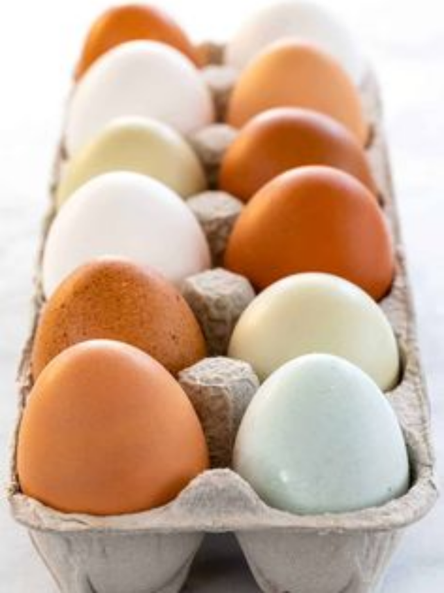 How Much Extra Protein Is In A Jumbo Egg (And Are They Worth Buying For Your Health?)