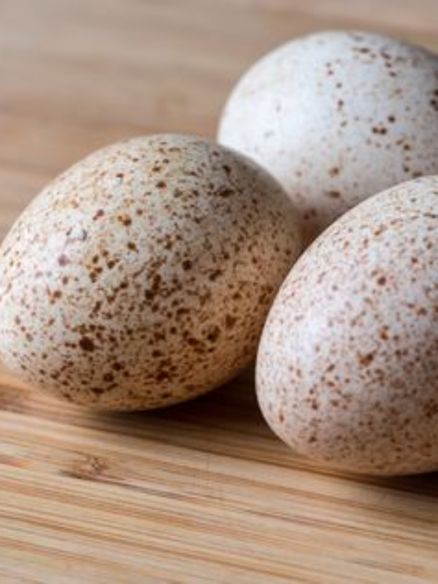 Why Don't We Eat Turkey Eggs?