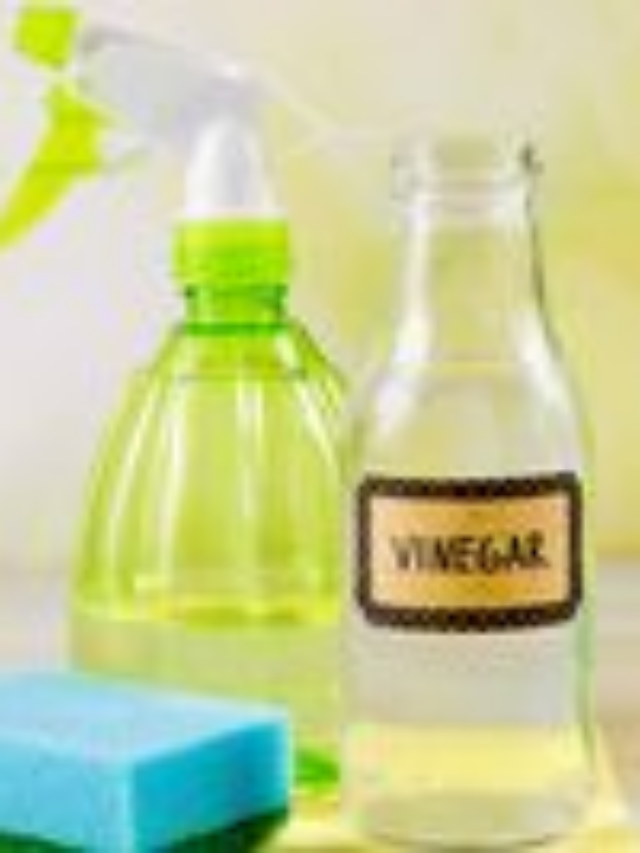 Never go without white vinegar in the kitchen again: this simple product has endless uses!