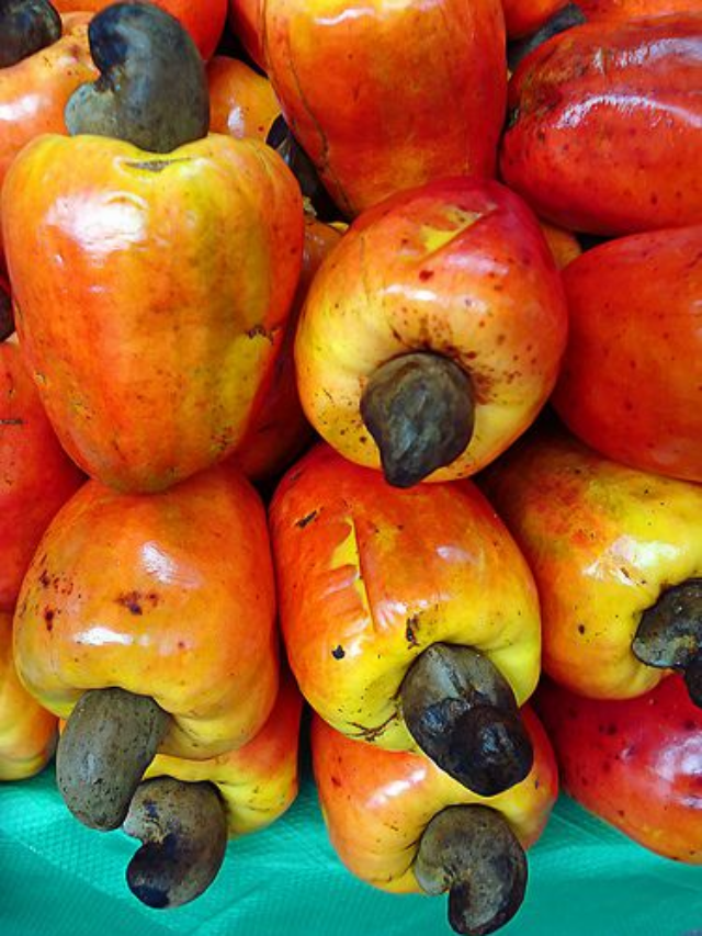 Esta planta brasileira é um verdadeiro tesouro para a sua saúde; veja qual