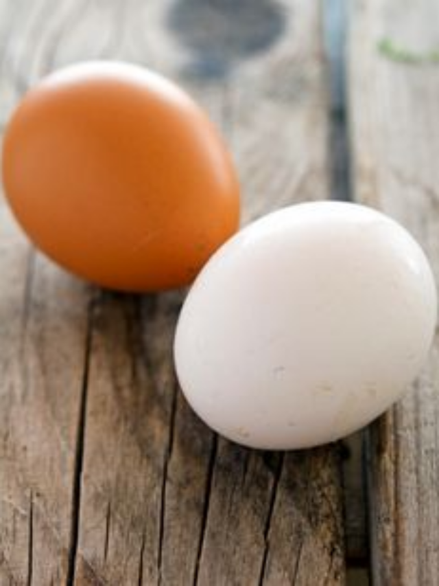 Why do brown eggs cost more than white eggs? Blame the bird