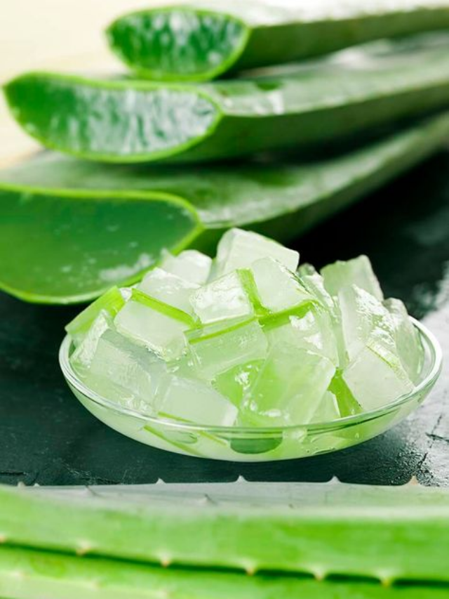 Babosa (Aloe Vera): para que serve, benefícios e como usar