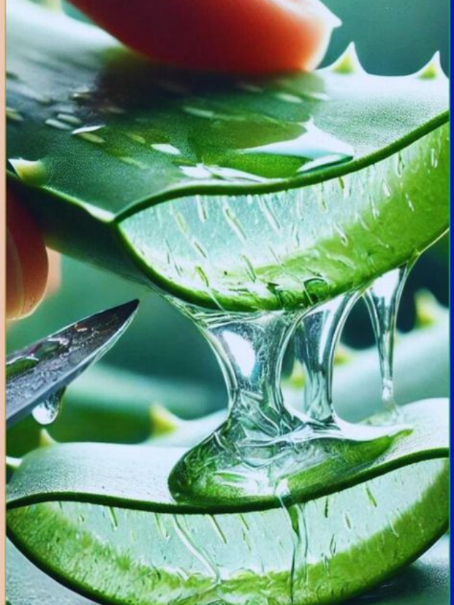 Aloe Vera: Why it's a miracle plant in the world of Ayurveda