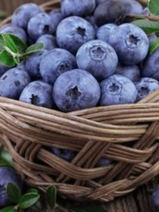 An Expert Explains How to Wash Blueberries to Remove Dirt and Pesticides