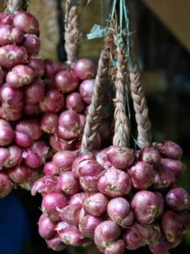 Cebola: O Superalimento que Transforma Sua Cozinha e Beneficia Sua Saúde